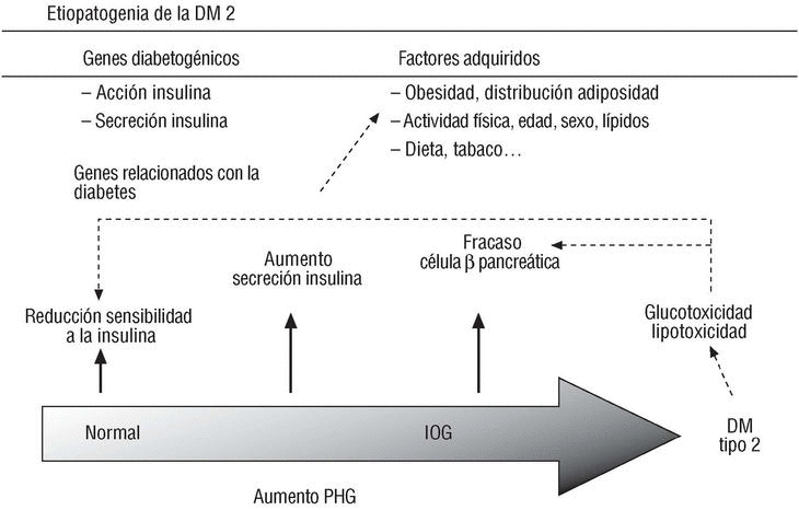 Que Significa Diabetes Mellitus En Ciencias Naturales