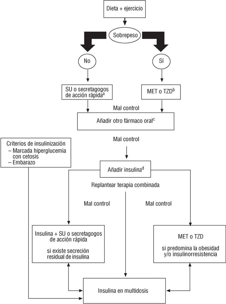 Tratamiento De La Diabetes Mellitus Objetivos Generales Y Manejo