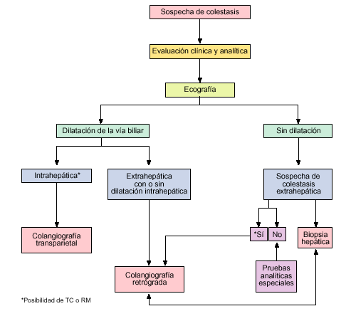 Un Enfermo Icterico Medicina Integral