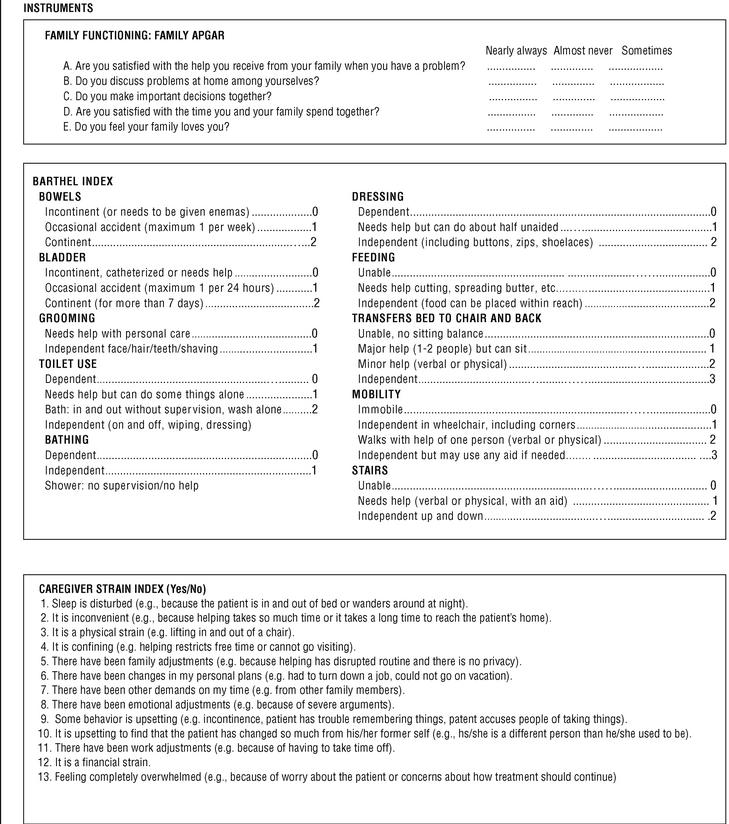 Profile And Risk Of Mental Illness In Caregivers For Home Care Patients Atencion Primaria