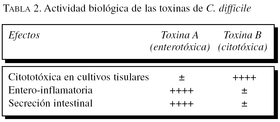 toxina clostridium difficile a y b