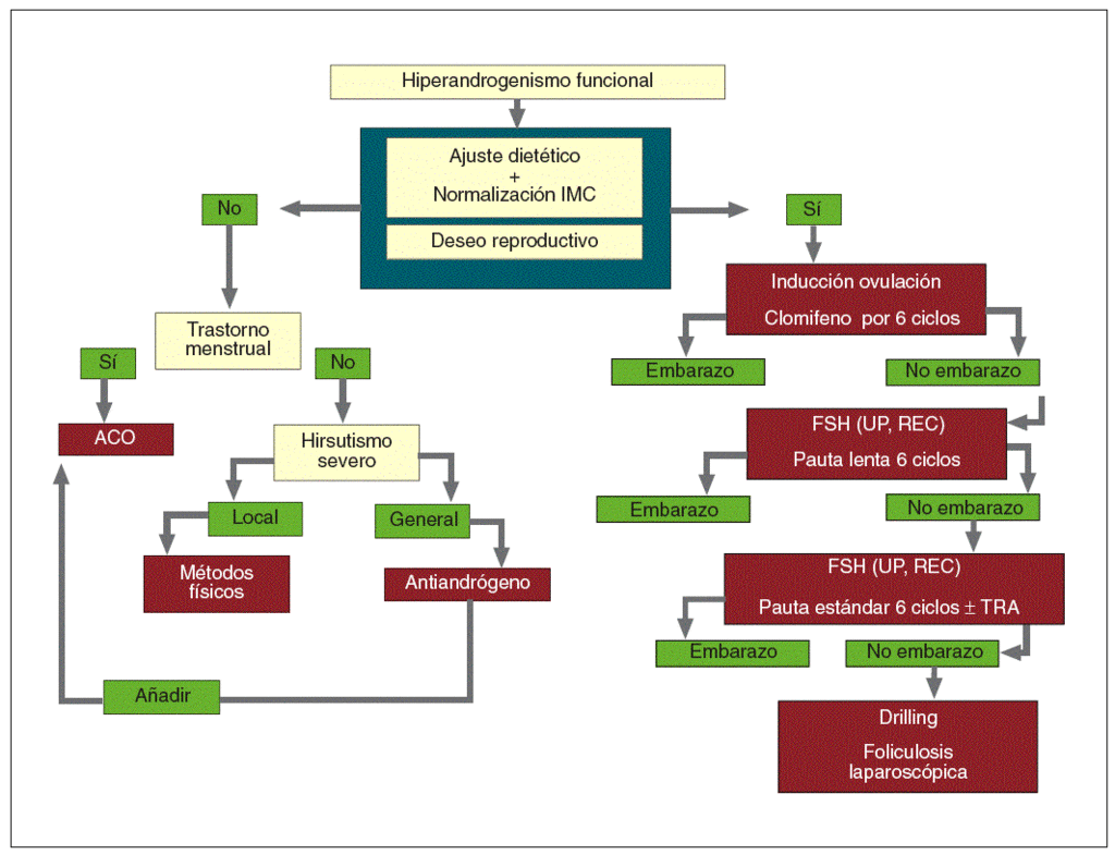 Hiperandrogenismo Ovarico Valoracion Clinica Y Terapeutica Clinica E Investigacion En Ginecologia Y Obstetricia