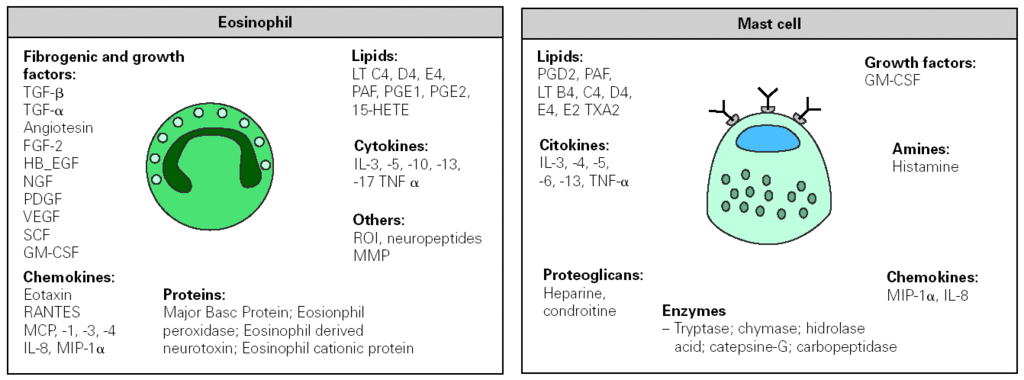 Chemokine Receptors in Allergy, Inflammation, and Infectious Disease