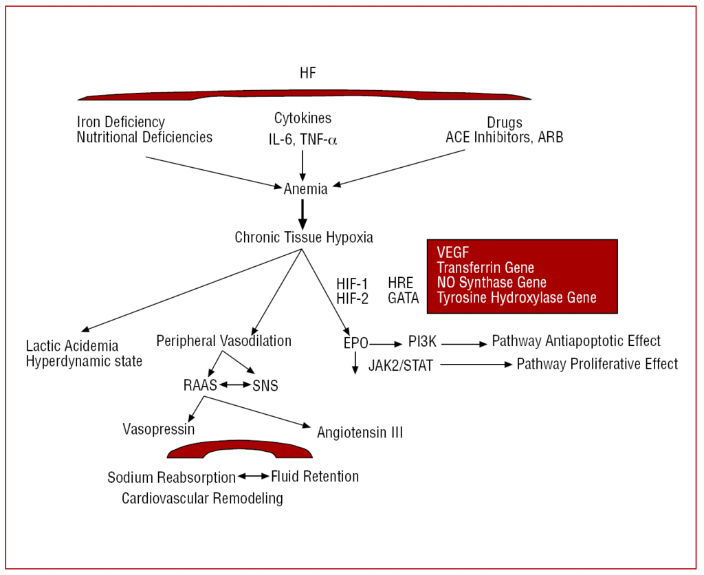 Iron Deficiency Anemia Pathophysiology Flow Chart - Best ...