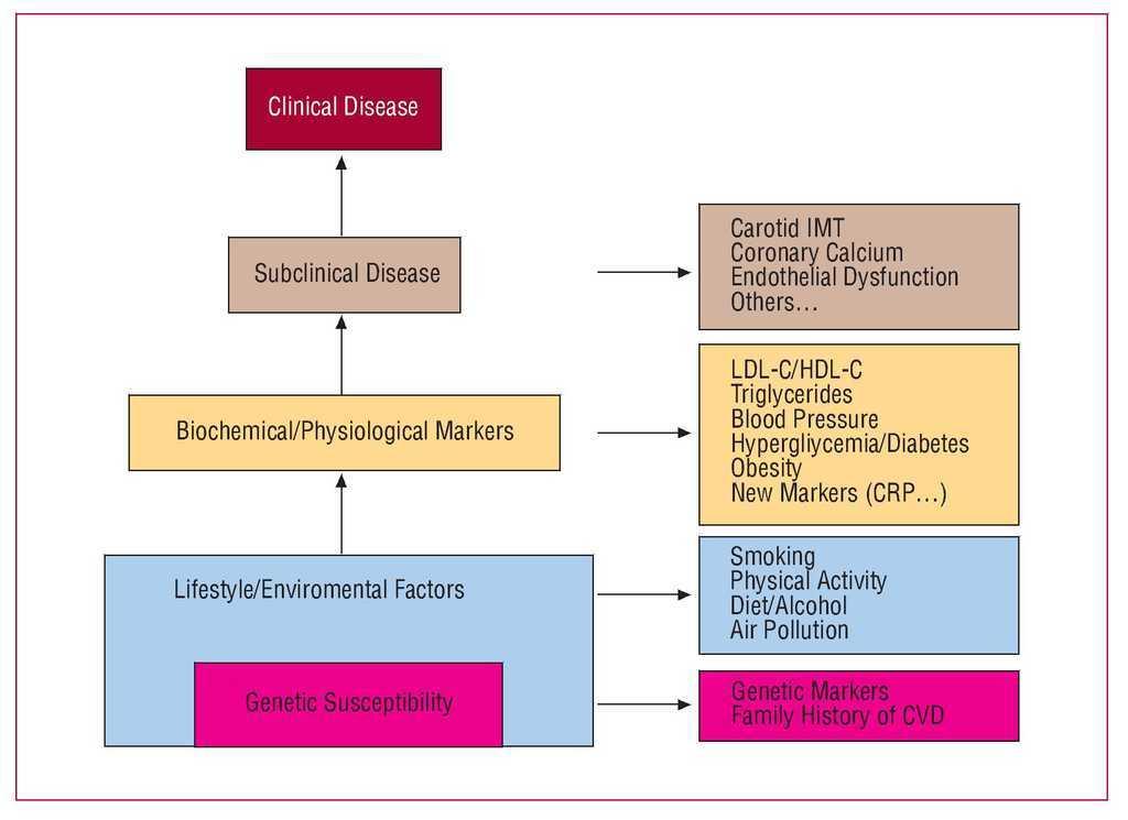 Prediction of Coronary Heart Disease Using Risk Factor Categories