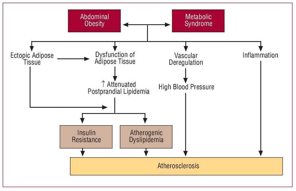 diabetes metabolic syndrome journal impact factor