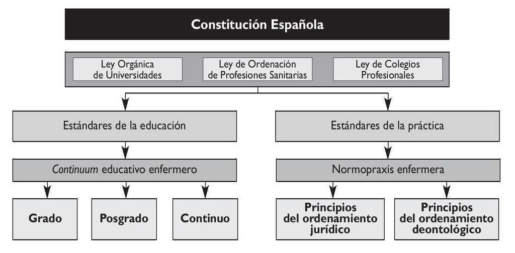 El Compromiso De La Enfermeria Con La Sociedad Revista De Administracion Sanitaria Siglo Xxi