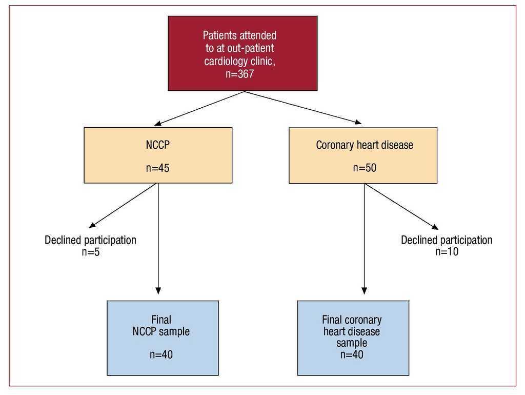 Different Psychological Profiles In Non Cardiac Chest Pain And Coronary Artery Disease A Controlled Study Revista Espanola De Cardiologia