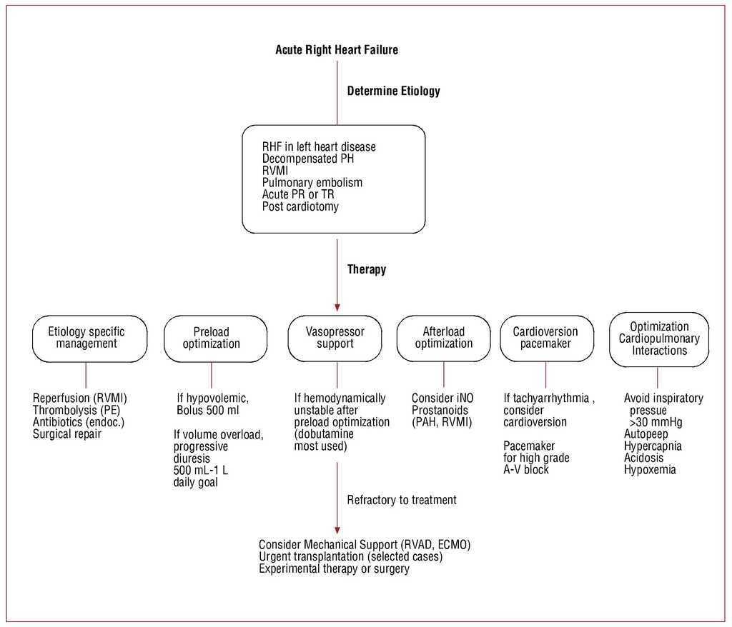 Evaluation and Management of Right-Sided Heart Failure: A