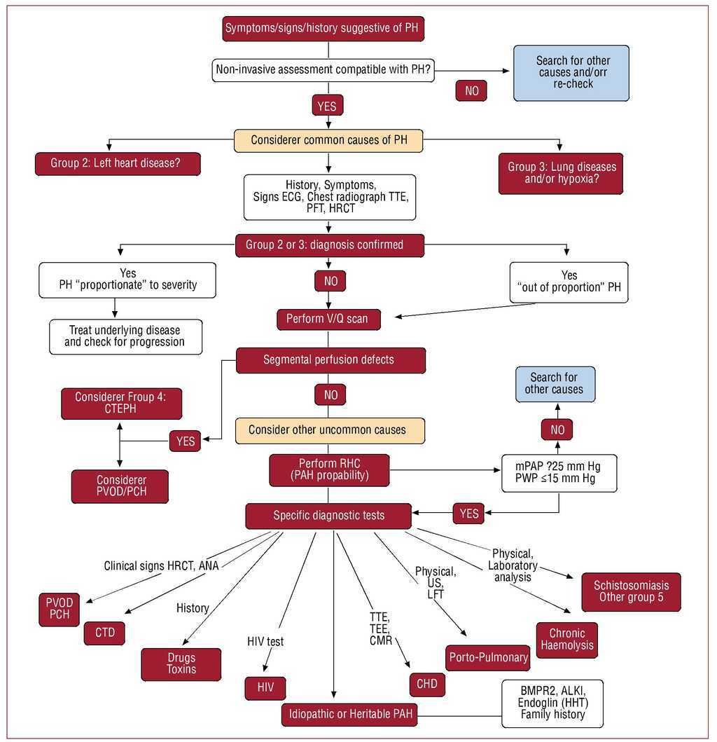 Evaluation And Management Of Pulmonary Hypertension In 41 Off