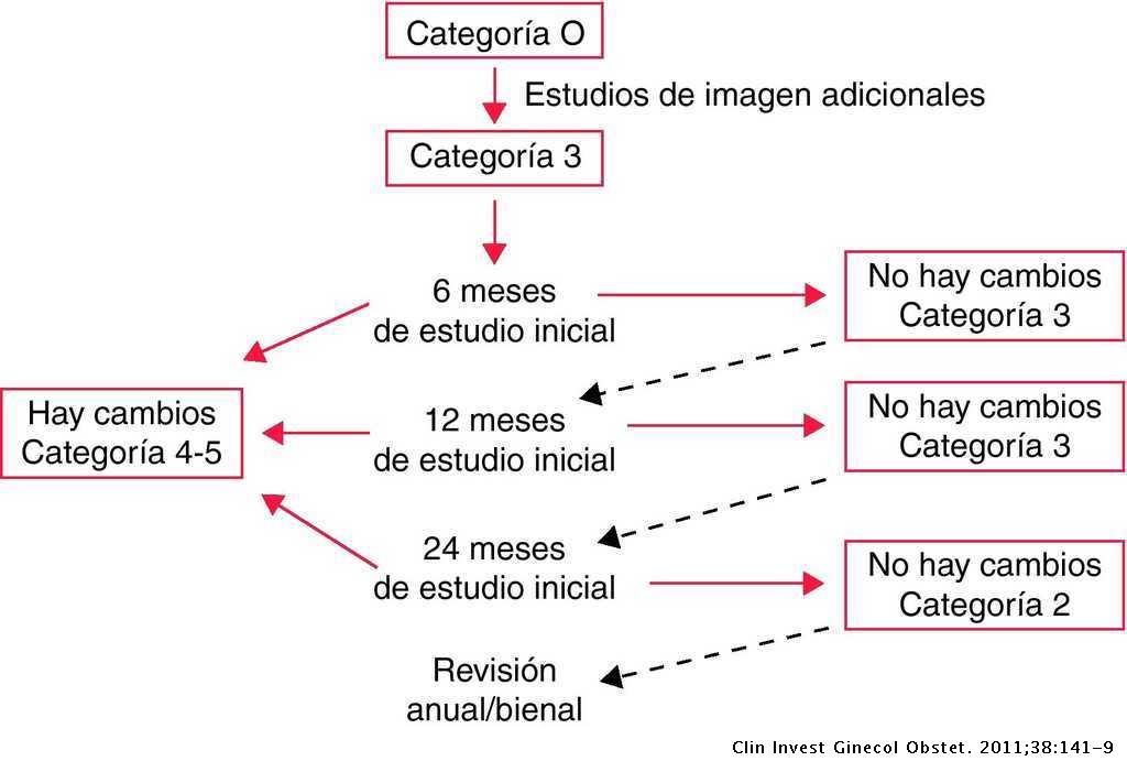 Intraductal papilloma birads 4, Intraductal papilloma birads 4 Terminologie BI-RADS