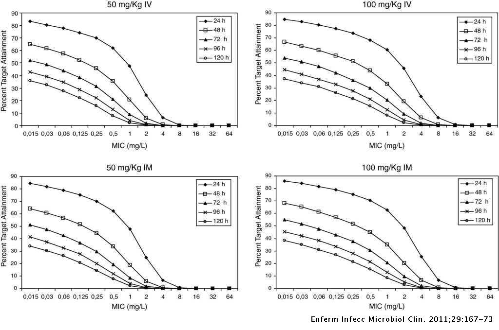 Pharmacokinetic Pharmacodynamic Evaluation Of Amoxicillin