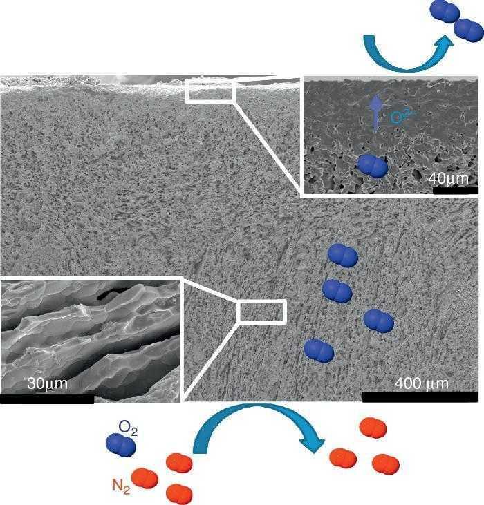 Freezecasting Fabrication of highly porous and hierarchical ceramic