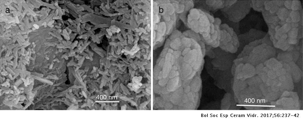 What Is A Reason For The Differences Between The Two Micrographs?