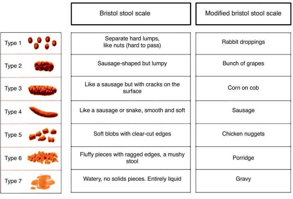 assessment-of-commonly-used-pediatric-stool-scales-a-pilot-study