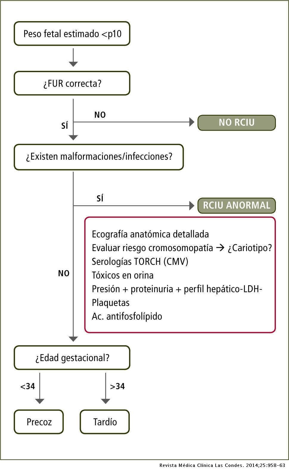Restriccion De Crecimiento Intrauterino Revista Medica Clinica Las Condes
