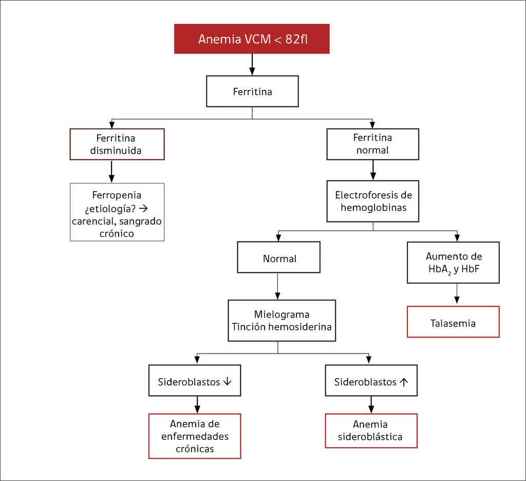 INTERPRETACIÿN CLÿNICA DEL HEMOGRAMA | Revista Médica ...