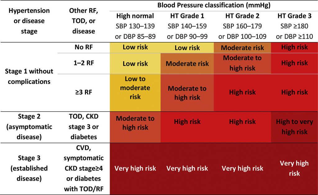 Practical approach to referral from primary health care to a cardiology ...