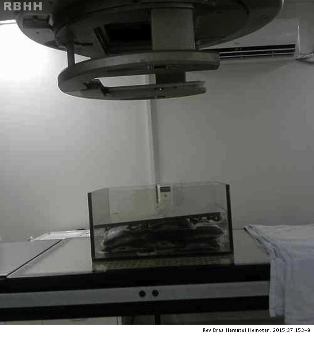 Evaluation of the effectiveness of packed red blood cell irradiation by ...