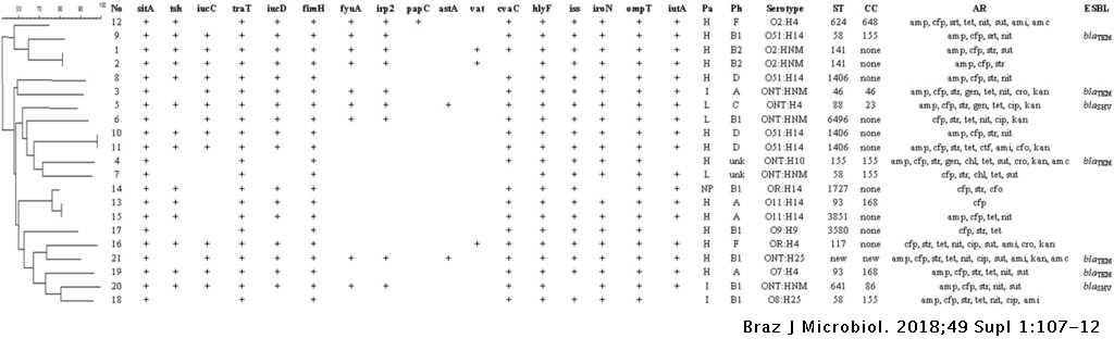 Characterization Of Avian Pathogenic Escherichia Coli Isolated From Free Range Helmeted Guineafowl Brazilian Journal Of Microbiology