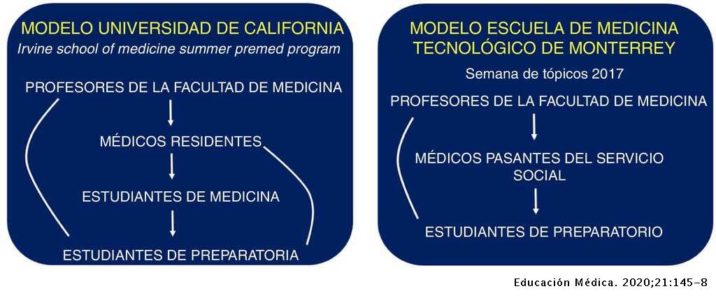 El «Llamado» de la Medicina: uso de nuevos modelos de mentoría para la  orientación vocacional | Educación Médica