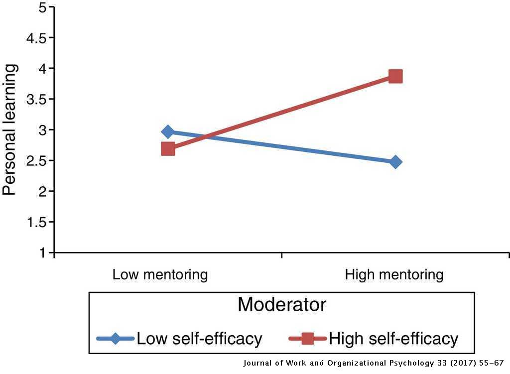 Empirical Investigation Of A Moderating And Mediating Variable In Between Mentoring And Job Performance A Structural Model Revista De Psicologia Del Trabajo Y De Las Organizaciones