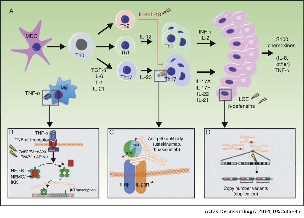 psoriasis gene mutation