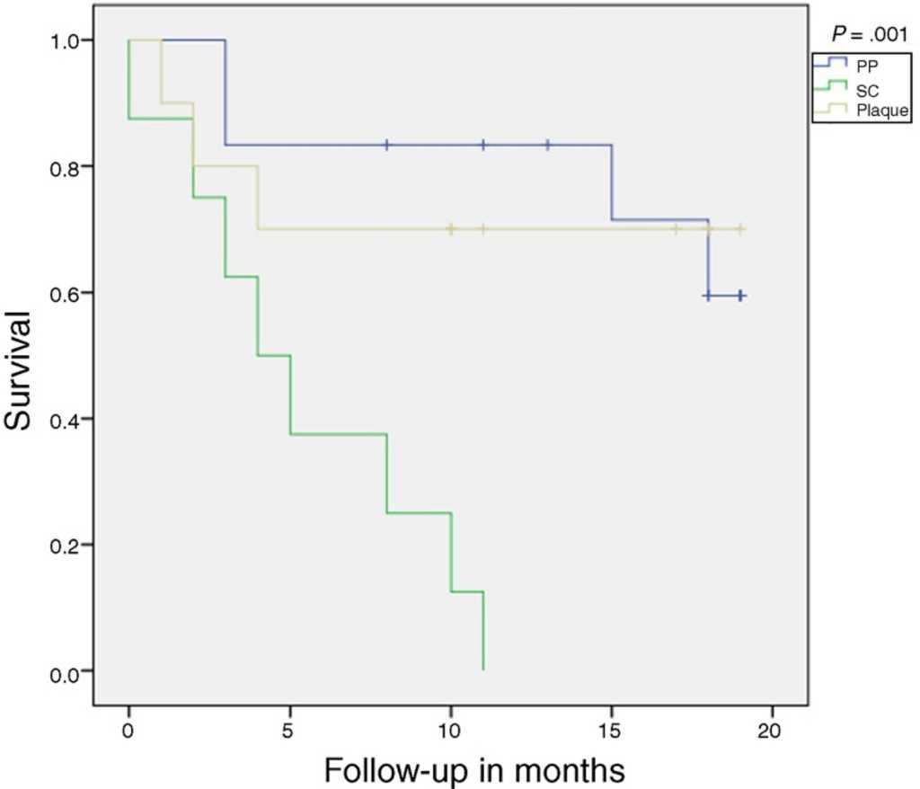 Treatment Persistence and Safety of Apremilast in Psoriasis Experience