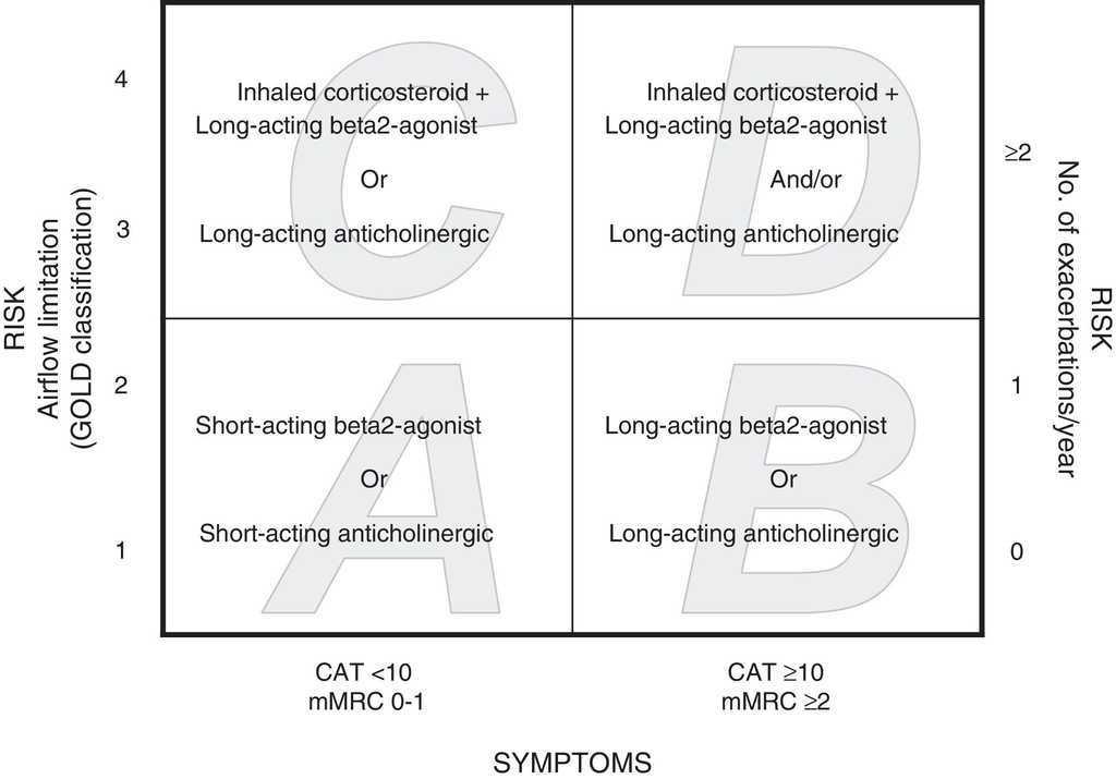 Classification of Chronic Obstructive Pulmonary Disease 