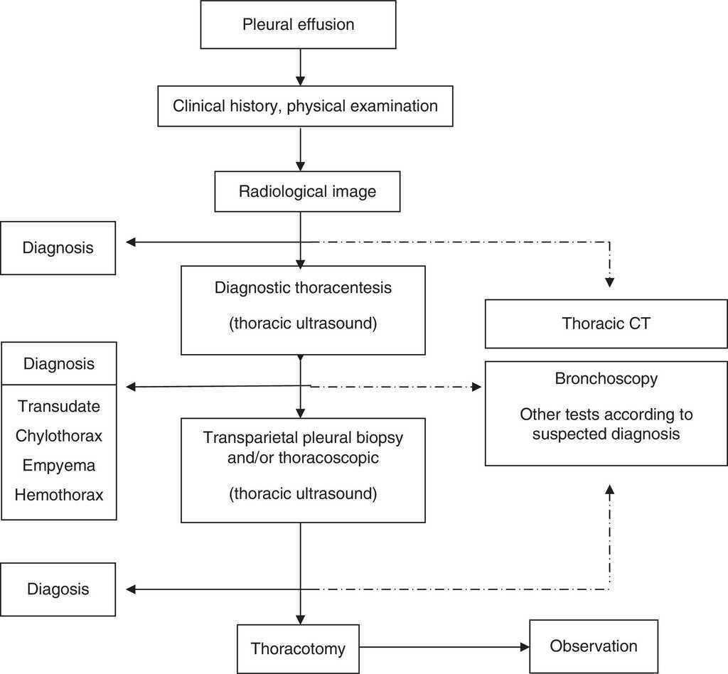 Pleural Effusion Ncp