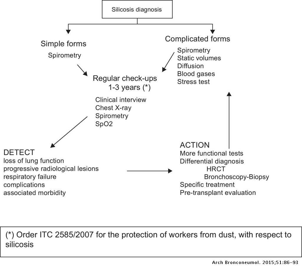 Guidelines for the Diagnosis and Monitoring of Silicosis