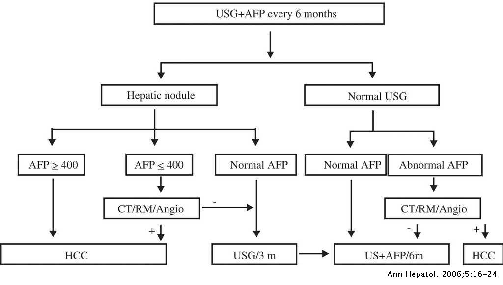 Hepatocellular carcinoma. An overview | Annals of Hepatology