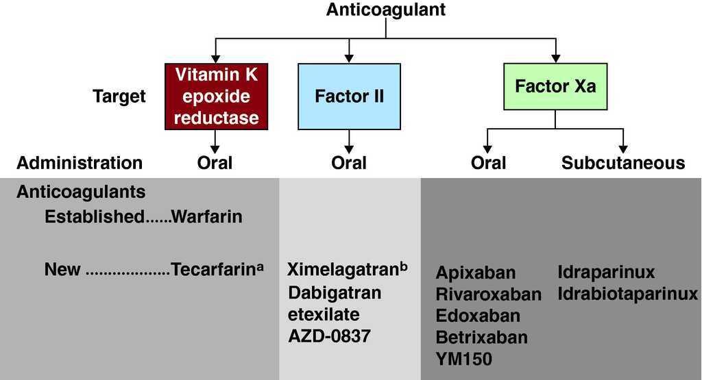 Antiplatelet And Anticoagulant Therapy For Stroke Prevention In Patients With Non Valvular Atrial Fibrillation Evidence Based Strategies And New Developments Revista Espanola De Cardiologia English Edition Antiplatelet And Anticoagulant Therapy For Stroke Prevention In Patients With Non Valvular Atrial Fibrillation Evidence Based Strategies And New Developments Revista Espanola De Cardiologia English Edition