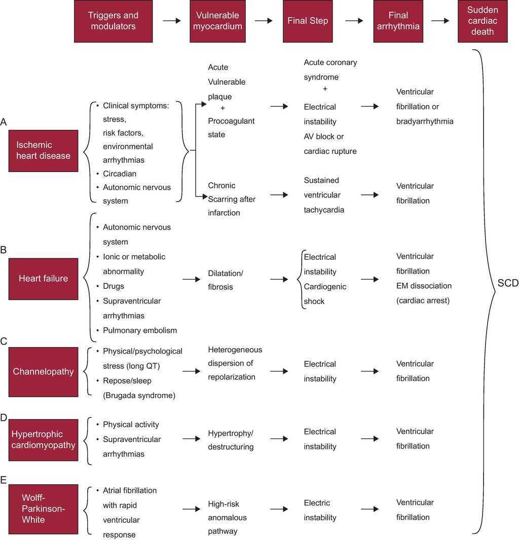 How is Sudden Cardiac Dysfunction (SCD) different from a heart attack?