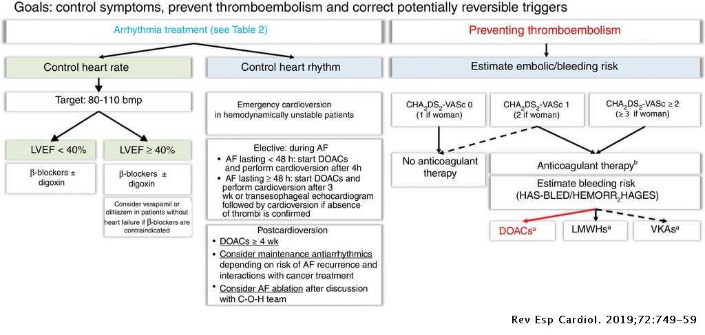 type 2 diabetes atrial fibrillation and direct oral anticoagulation)