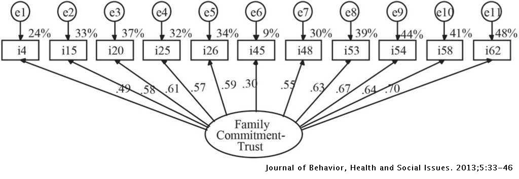 Effect Of Family Strength Over The Psychological Well Being And
