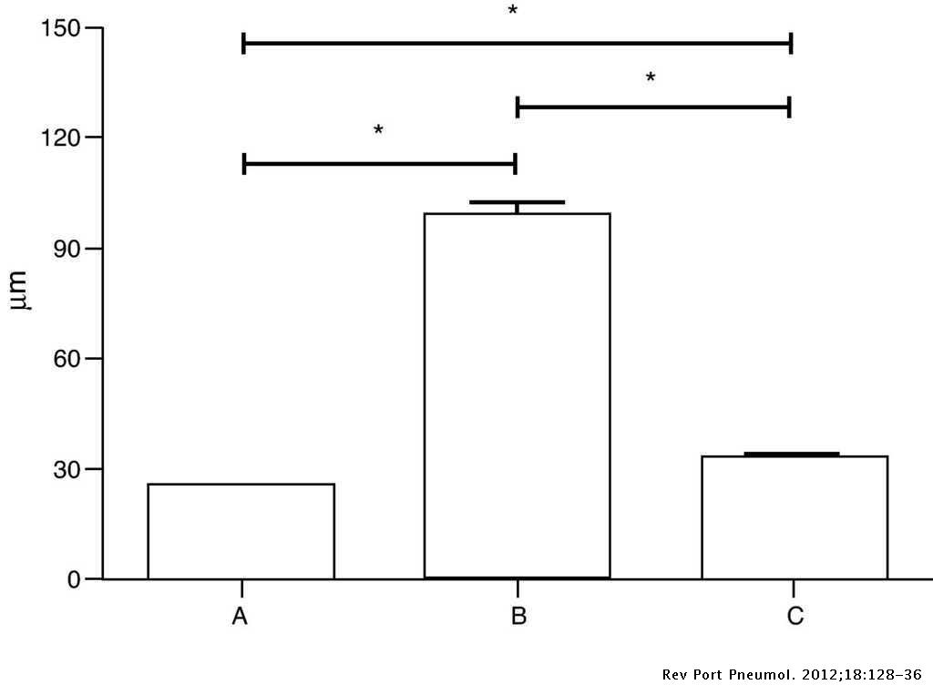 Alterations In Pulmonary Structure By Elastase Administration