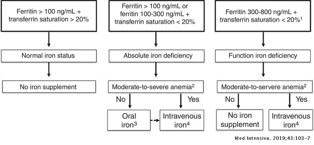 Is there a role for iron supplementation in critically ill patients? |  Medicina Intensiva