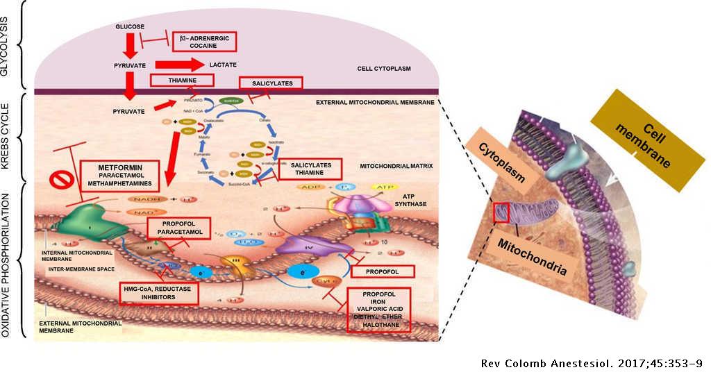 Order neurontin