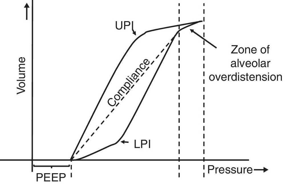 Respiratory monitoring of pediatric patients in the Intensive Care Unit ...