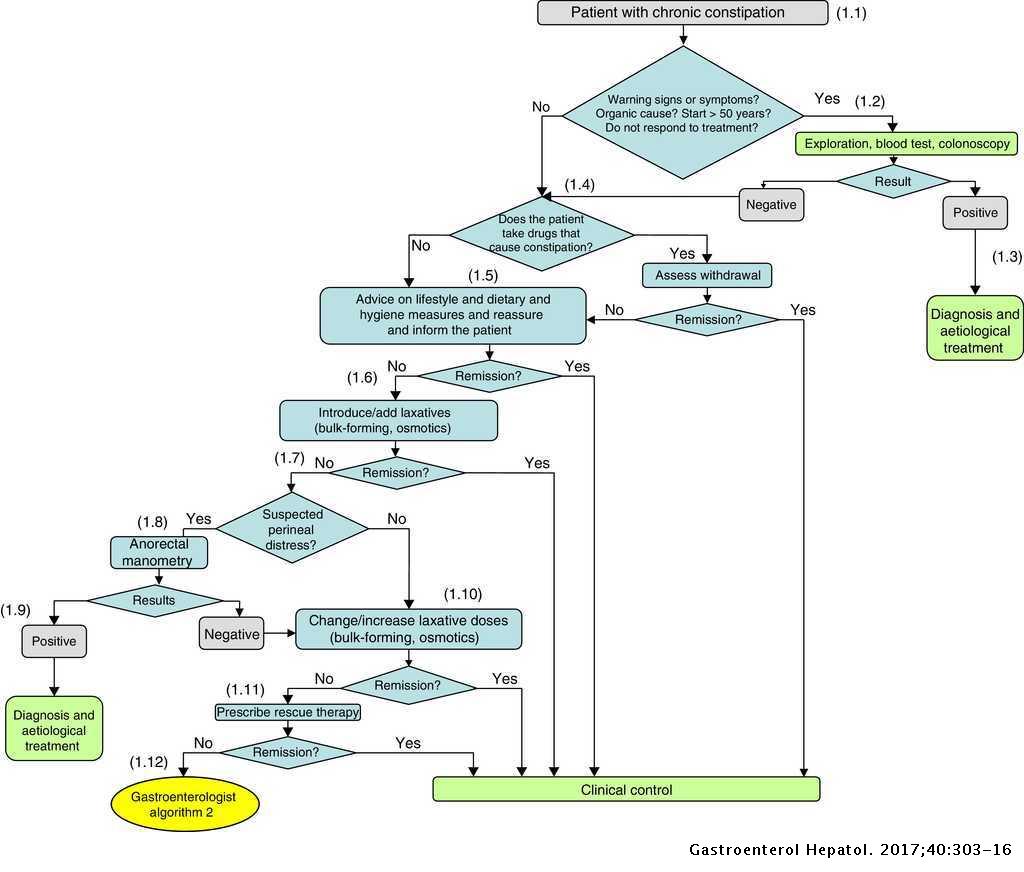 Clinical practice guidelines for the management of constipation in ...