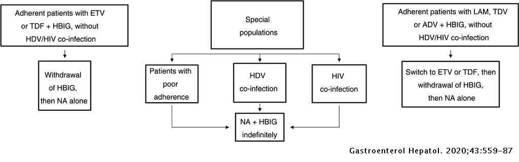 Consensus Document Of The Spanish Association For Study Of The Liver On The Treatment Of Hepatitis B Virus Infection Gastroenterologia Y Hepatologia English Edition