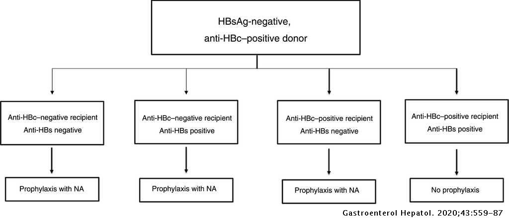 Consensus Document Of The Spanish Association For Study Of The Liver On The Treatment Of Hepatitis B Virus Infection Gastroenterologia Y Hepatologia English Edition