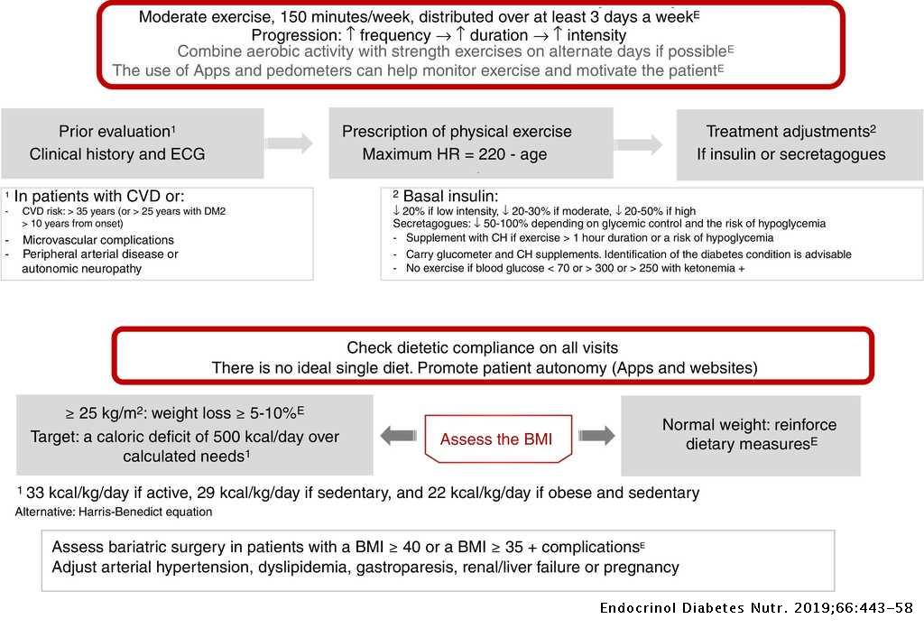 A Comprehensive Approach To Type 2 Diabetes Mellitus A Recommendation Document Endocrinologia Diabetes Y Nutricion English Ed A Comprehensive Approach To Type 2 Diabetes Mellitus A Recommendation Document Endocrinologia Diabetes Y Nutricion English Ed