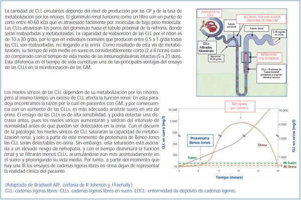 Valor Del Ensayo De Las Cadenas Ligeras Libres En Suero Para Los Pacientes De Gammapatias Monoclonales E Insuficiencia Renal Nefrologia