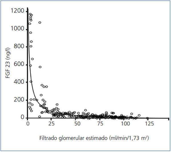 Factor De Crecimiento Fibroblastico 23 Fgf 23 Y Metabolismo Fosfocalcico En La Enfermedad Renal Cronica Nefrologia