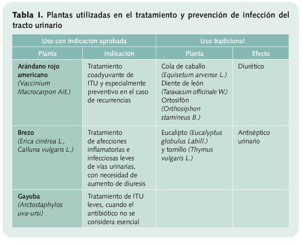 Fitoterapia en infecciones del tracto urinario Farmacia Profesional
