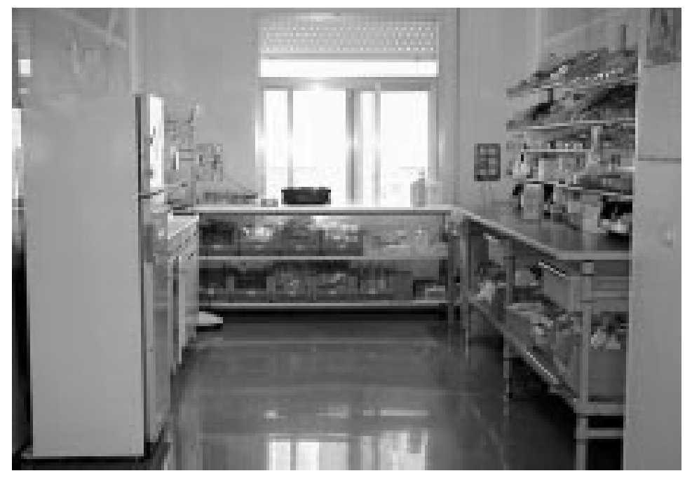 Descripción de la «nueva» unidad de cuidados intensivos del Hospital