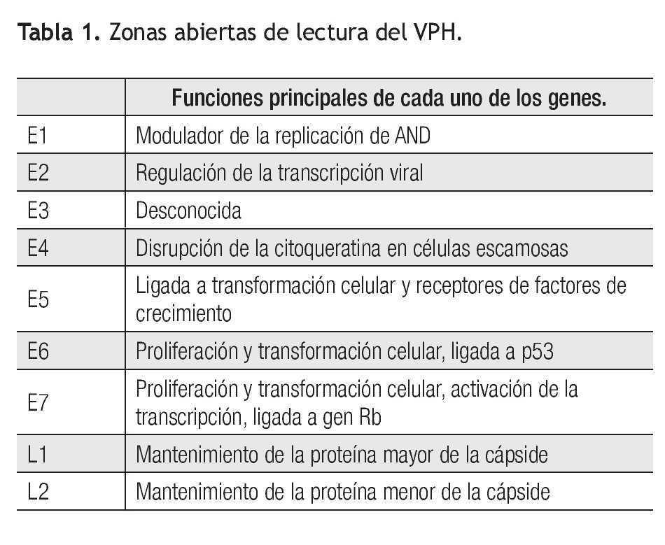 Biología del Virus del Papiloma Humano y técnicas de diagnóstico