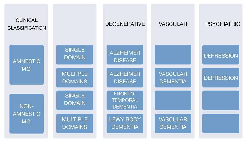 mild-cognitive-impairment-medicina-universitaria